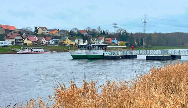 Elbnixe trifft auf Klarisse | Foto: Silvan Hesse